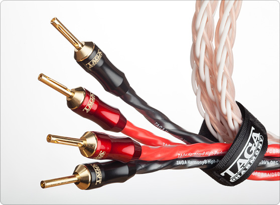 Taga Harmony PLATINUM-18-8C - cecha 2